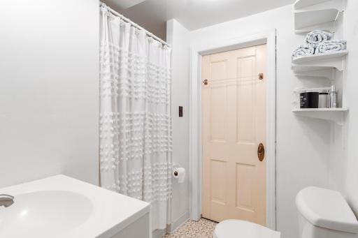 lower level bathroom