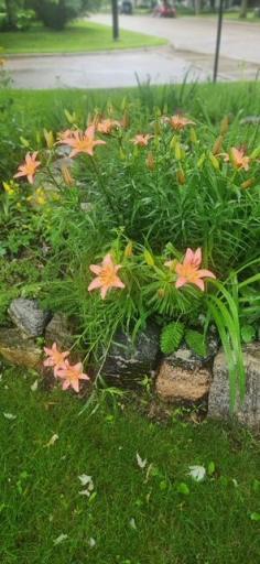 image15.jpeg