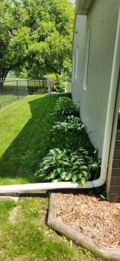 image13.jpeg