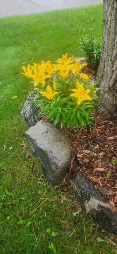 image14.jpeg