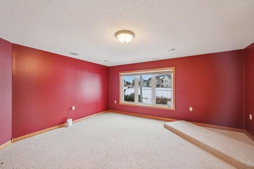 Media room in lower level