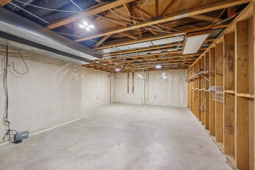 Large lower level storage room