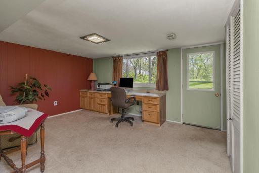 Lower level family room with walkout door