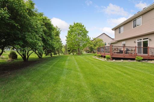 Lots of green grass and several species of trees planted and cared for by this original owner. Easy to mow!