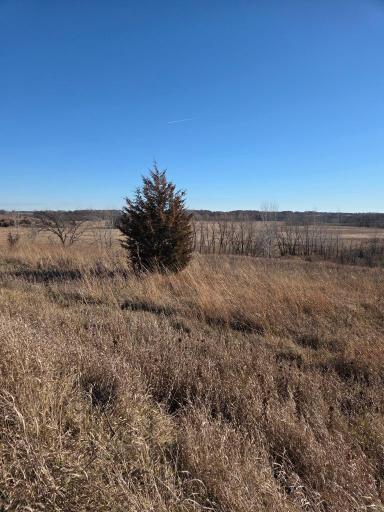 36999 141st Lane, Montgomery, MN 56069