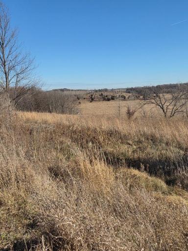 36999 141st Lane, Montgomery, MN 56069