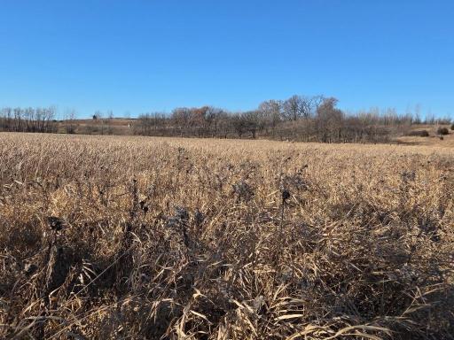 36999 141st Lane, Montgomery, MN 56069