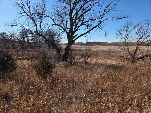 36999 141st Lane, Montgomery, MN 56069