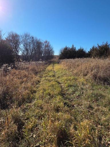 36999 141st Lane, Montgomery, MN 56069