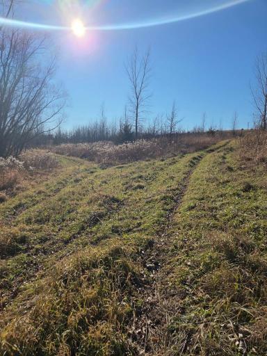 36999 141st Lane, Montgomery, MN 56069
