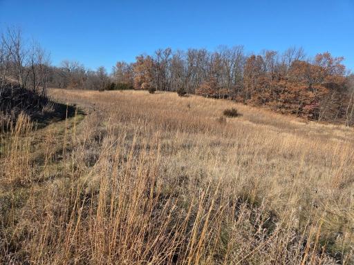 36999 141st Lane, Montgomery, MN 56069