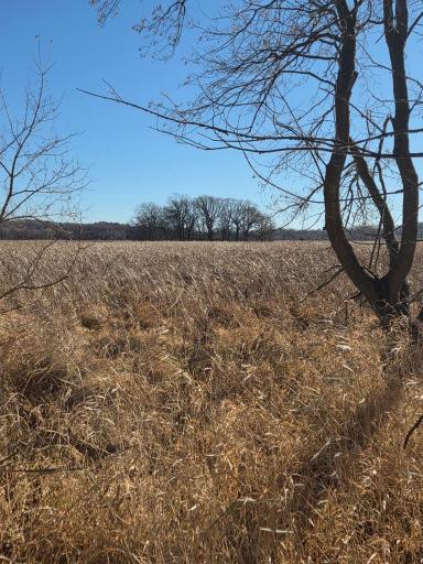 36999 141st Lane, Montgomery, MN 56069