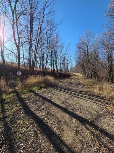 36999 141st Lane, Montgomery, MN 56069