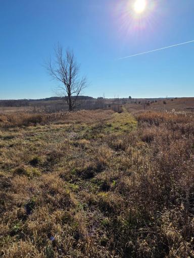 36999 141st Lane, Montgomery, MN 56069