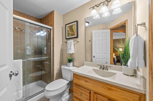 Lower level 3/4 bath