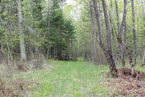 TBD COUNTY RD 19, Deer River, MN 56636