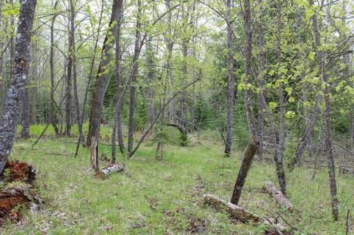 TBD COUNTY RD 19, Deer River, MN 56636