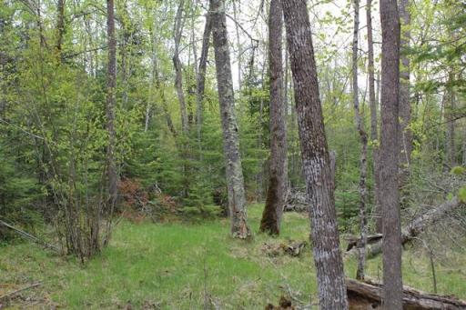 TBD COUNTY RD 19, Deer River, MN 56636