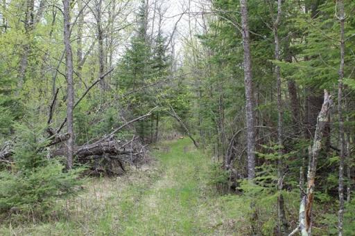 TBD COUNTY RD 19, Deer River, MN 56636