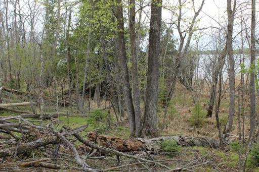 TBD COUNTY RD 19, Deer River, MN 56636