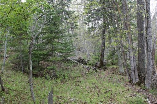TBD COUNTY RD 19, Deer River, MN 56636