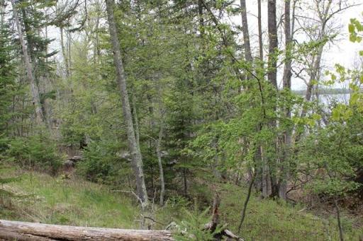 TBD COUNTY RD 19, Deer River, MN 56636