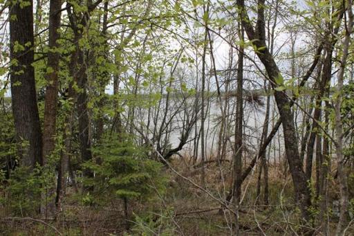 TBD COUNTY RD 19, Deer River, MN 56636