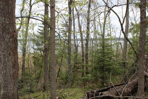 TBD COUNTY RD 19, Deer River, MN 56636