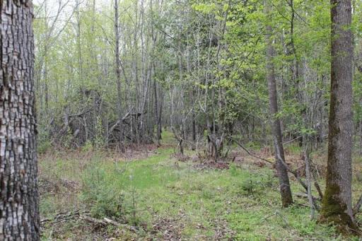 TBD COUNTY RD 19, Deer River, MN 56636