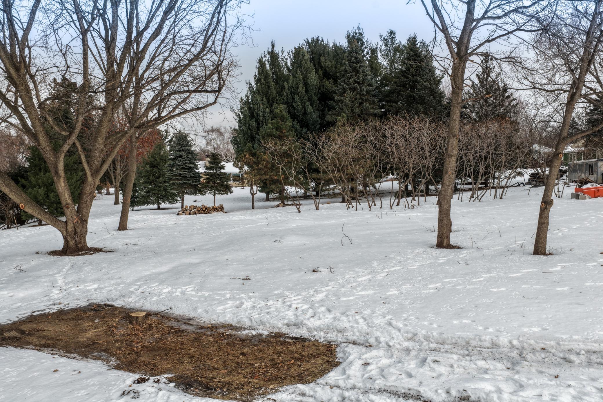 Ground Level