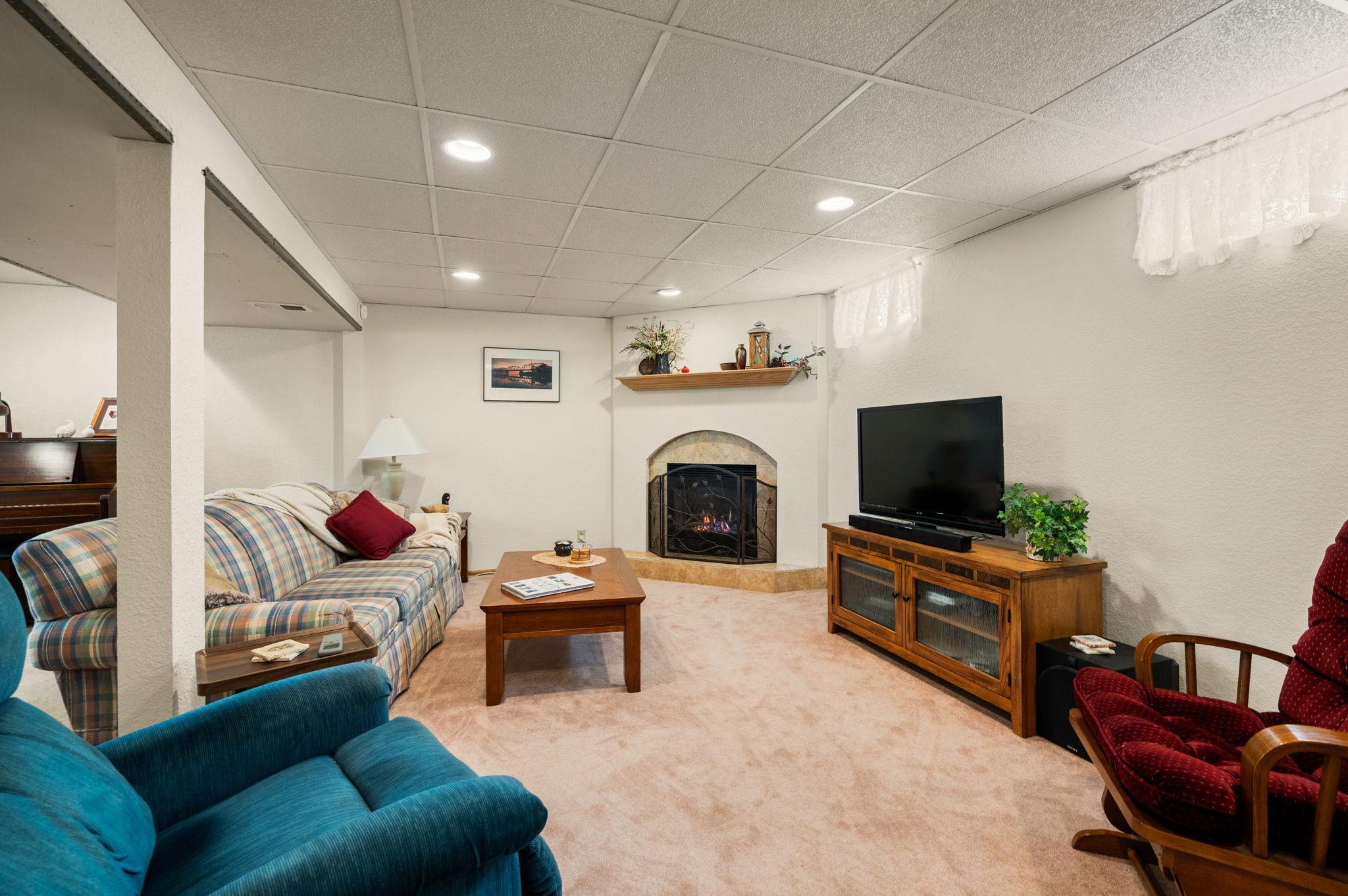 The finished walkout lower level includes a large family room with a cozy gas fireplace