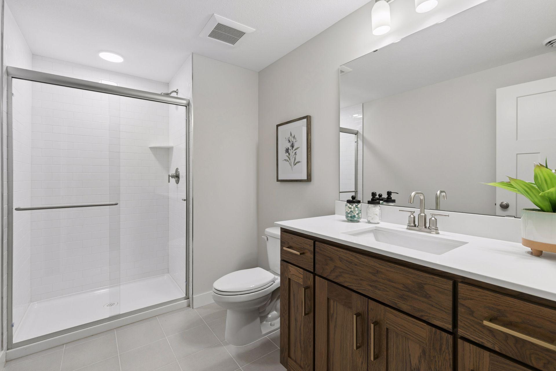 Lower level bathroom