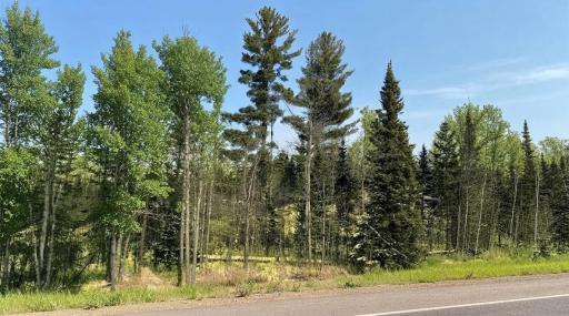 TBD Hwy. 22, Cook, MN 55703
