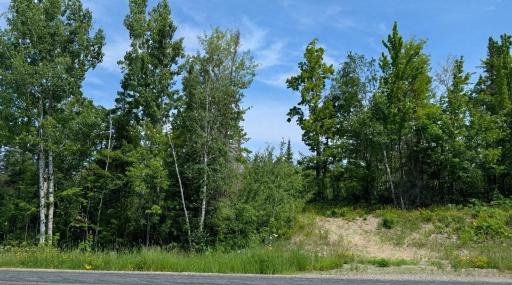 TBD Hwy. 22, Cook, MN 55703