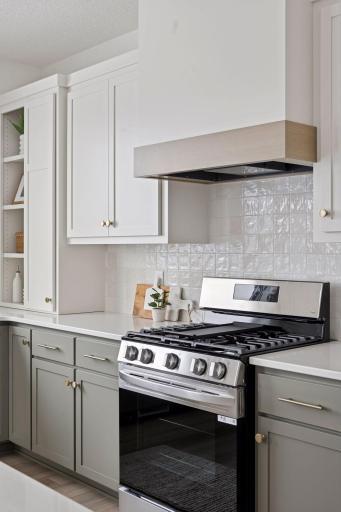 Stainless Steel Gas Range