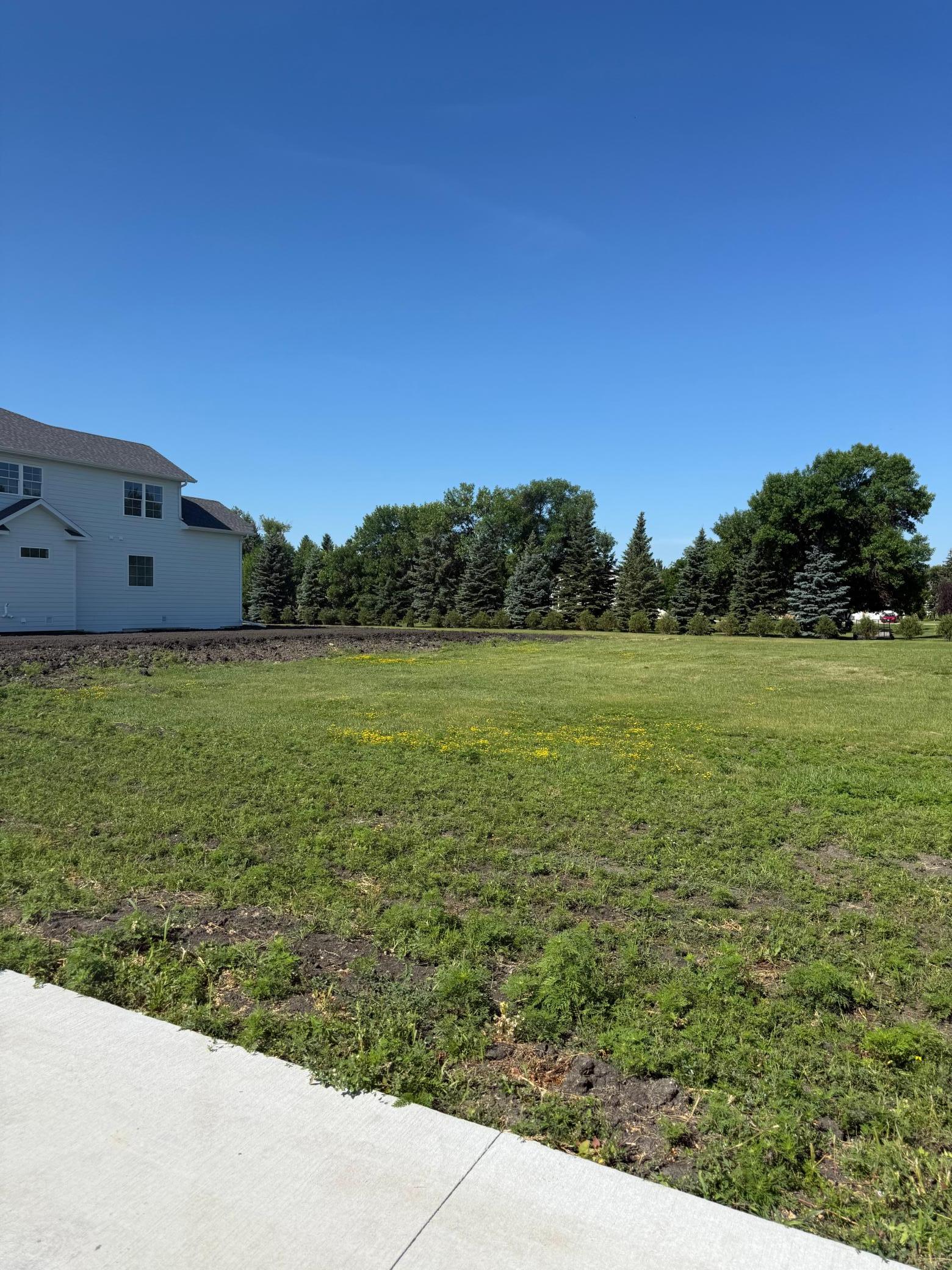 Lot 6