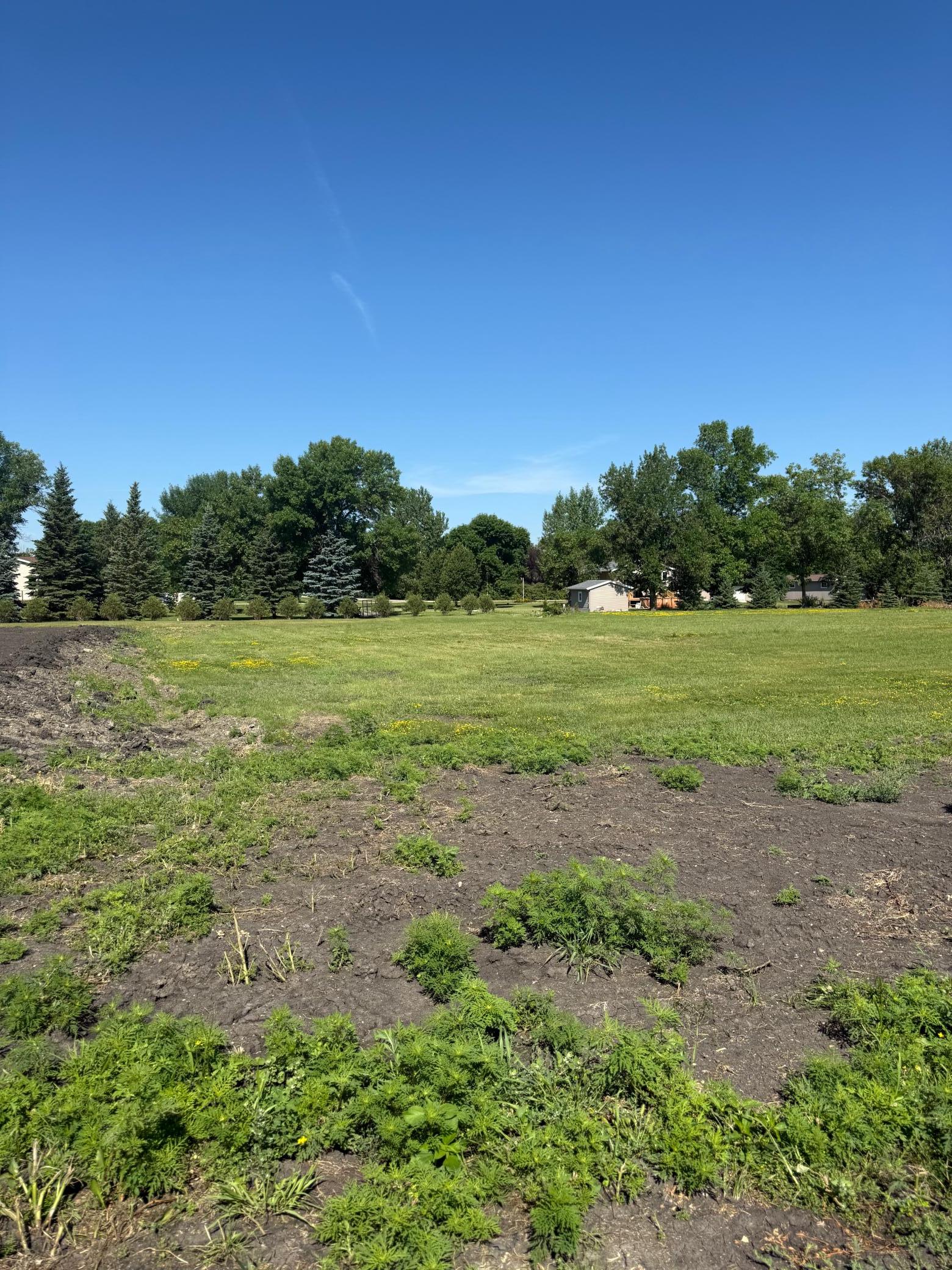 Front of Lot