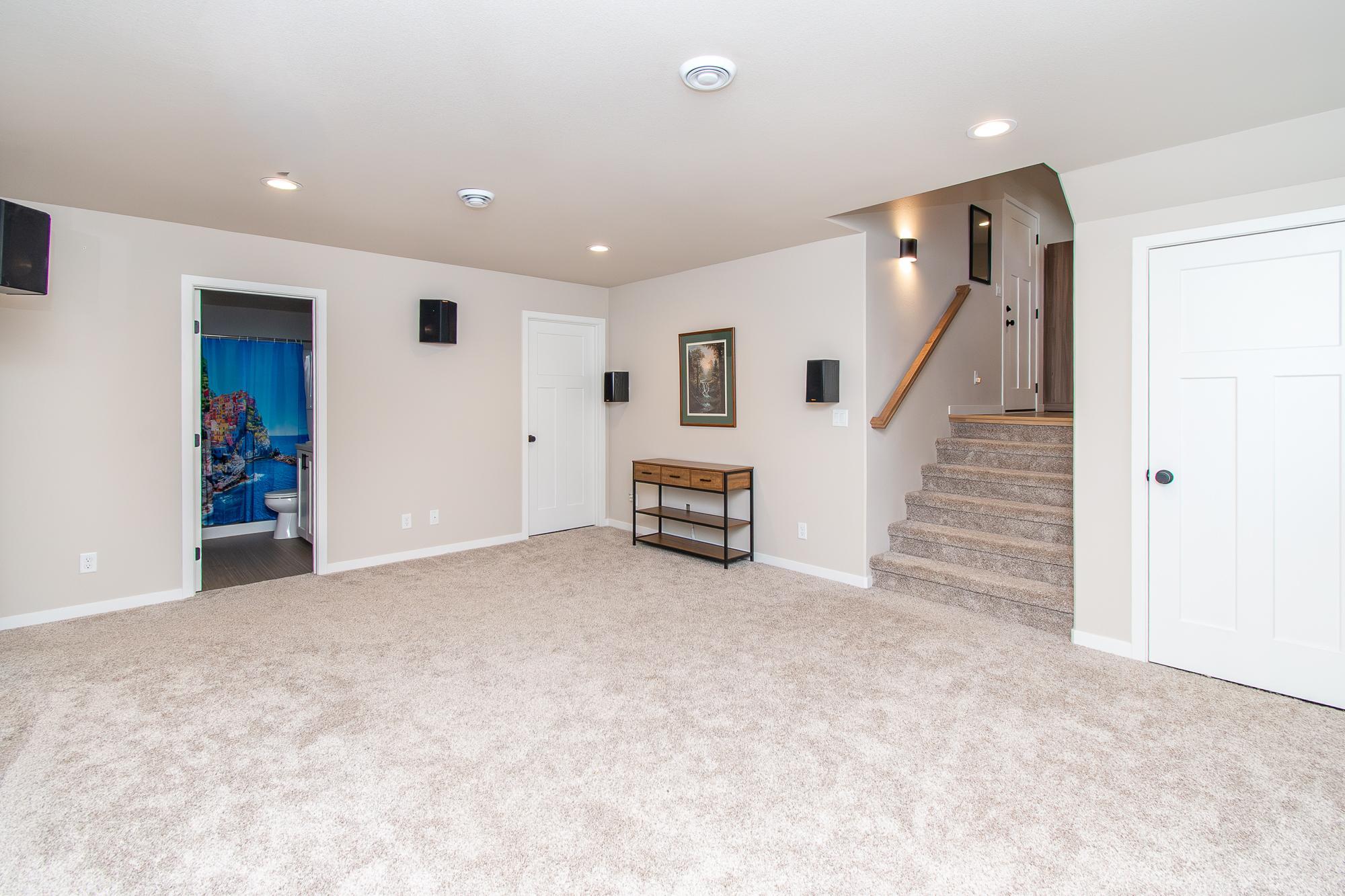 Lower Level Family Room
