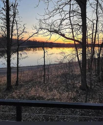 Screenshot 2025-07-26 122341.jpg