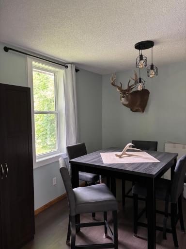 40149 181st Street, Wannaska, MN 56761