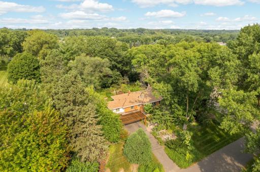 Aerial view shows the privacy of this exceptional property.