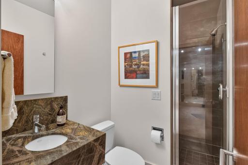Lower level 3/4 bath