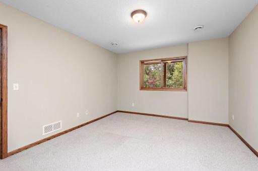 5th Bedroom in Lower Level