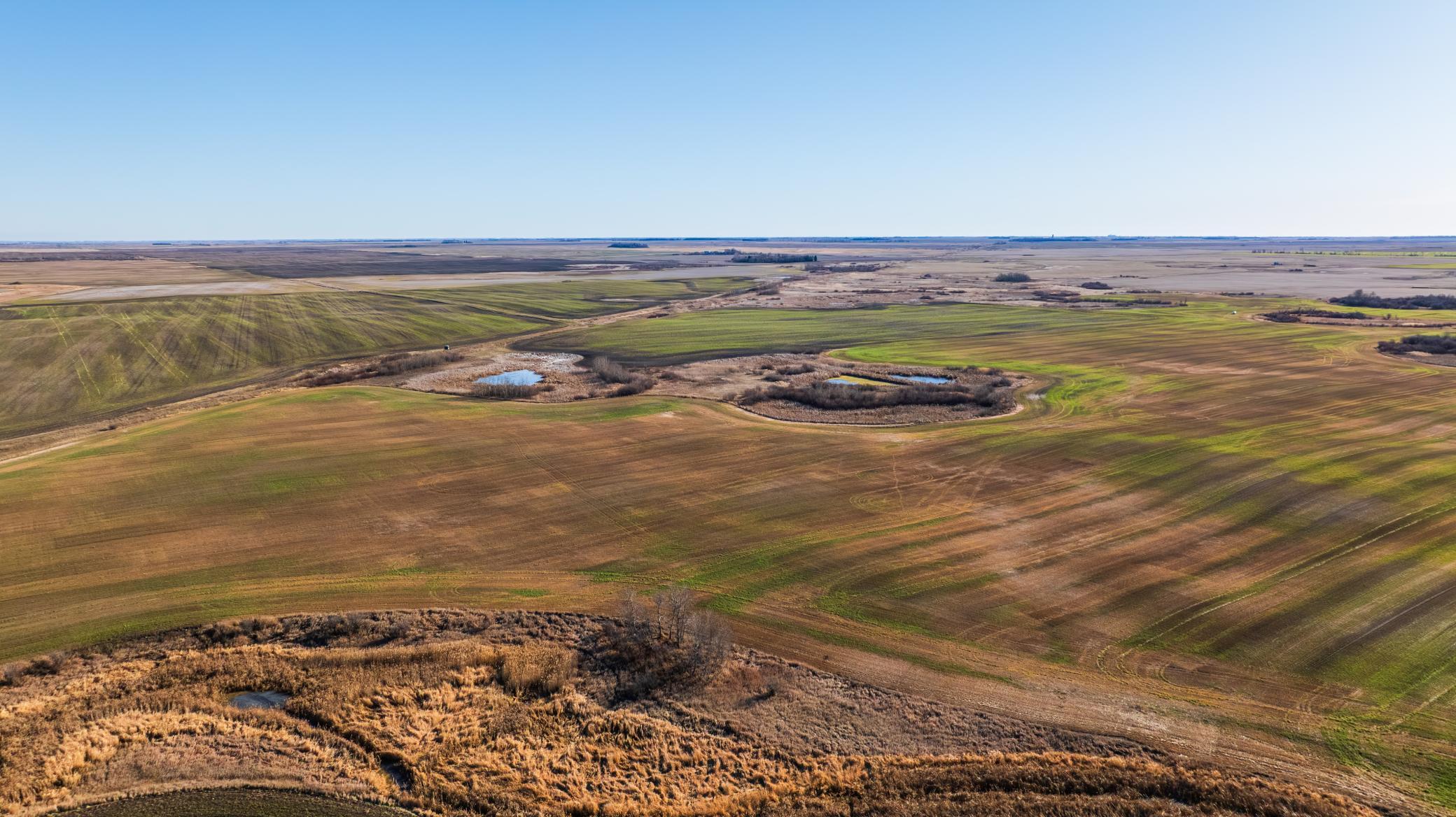 Amdak__Rolla ND (500 Acres)_0037.jpg