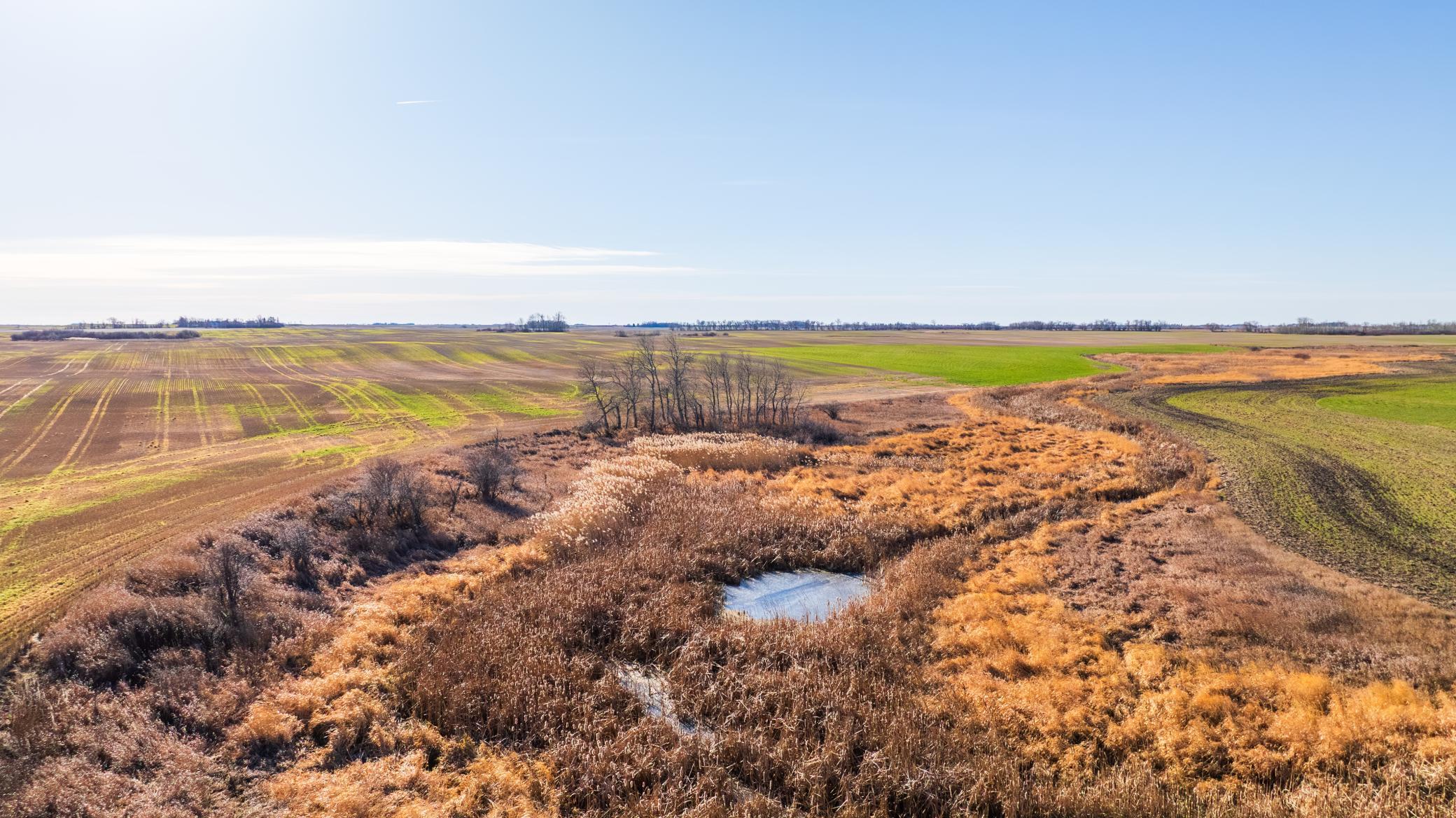 Amdak__Rolla ND (500 Acres)_0034.jpg