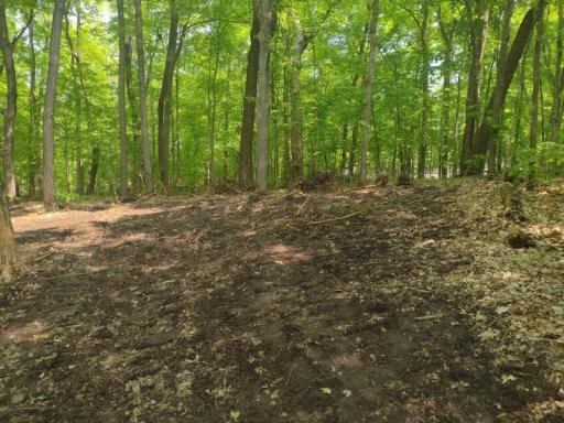 Lot 7 Block 2 Crystal Beach Road, Pelican Rapids, MN 56572