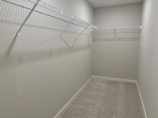 4847 Primary Walk in Closet.