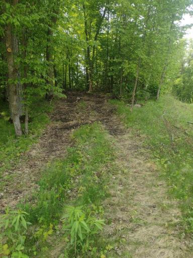 Lot 2 Block 3 Crystal Beach Road, Pelican Rapids, MN 56572