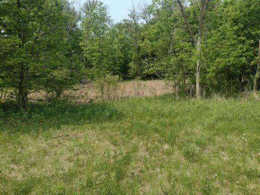 Lot 3 Block 3 Crystal Beach Lane, Pelican Rapids, MN 56572