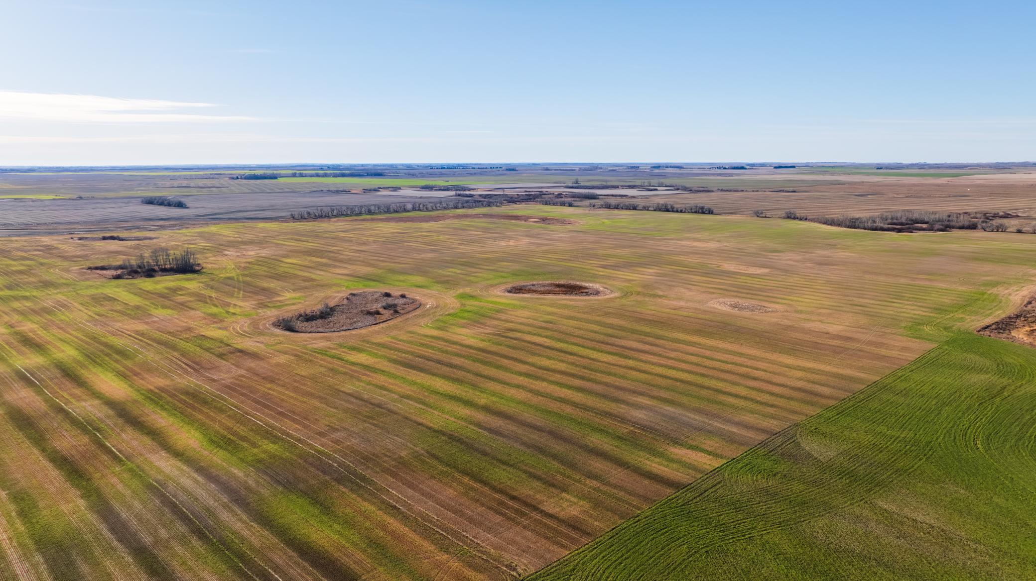 Amdak__Rolla ND (500 Acres)_0038.jpg